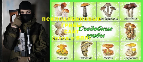 спайс Белокуриха