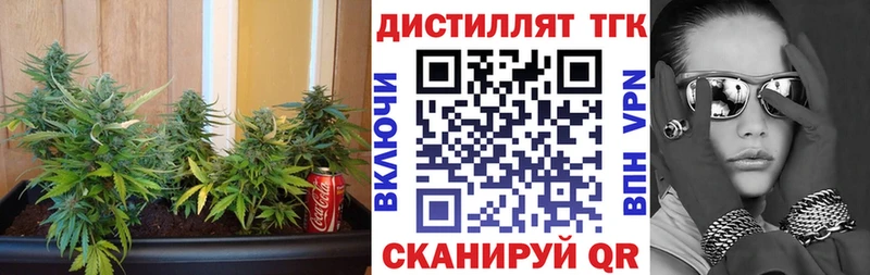 ТГК концентрат  Купить  Обь 