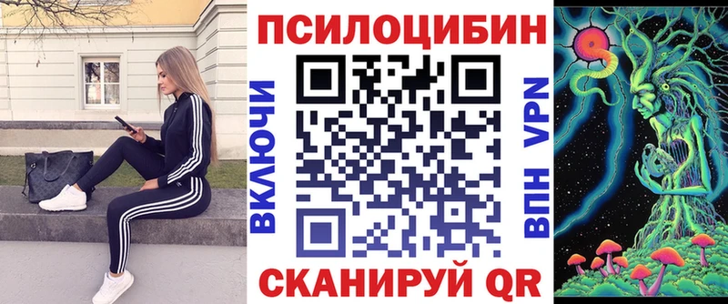 Купить где  Обь  Галлюциногенные грибы GOLDEN TEACHER 