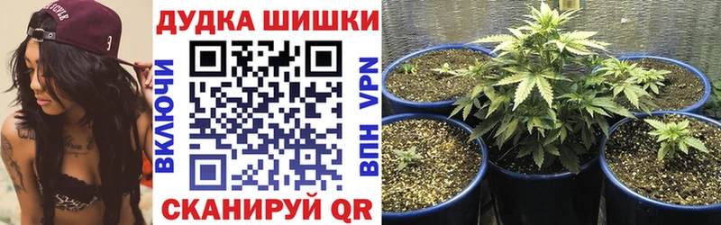 Марихуана White Widow  Купить закладки  Обь 